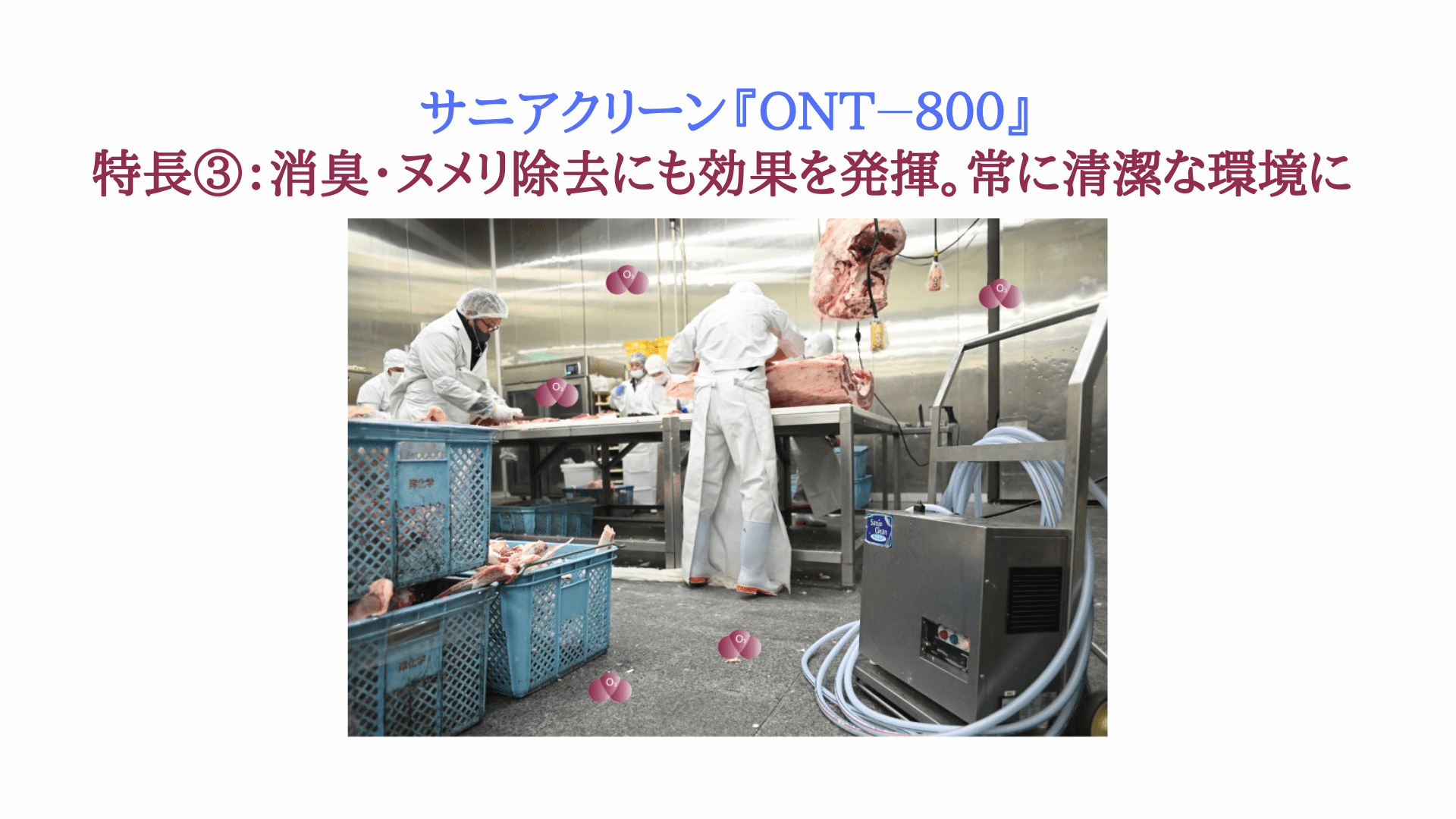 Amazon.co.jp: Hinokichi(ヒノキチ)J&Sヒノキチ水 300ml